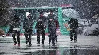 雪里二三三飘舞  一四常说雨中情 打一生肖，实证解答解释落实_xug45.76.55