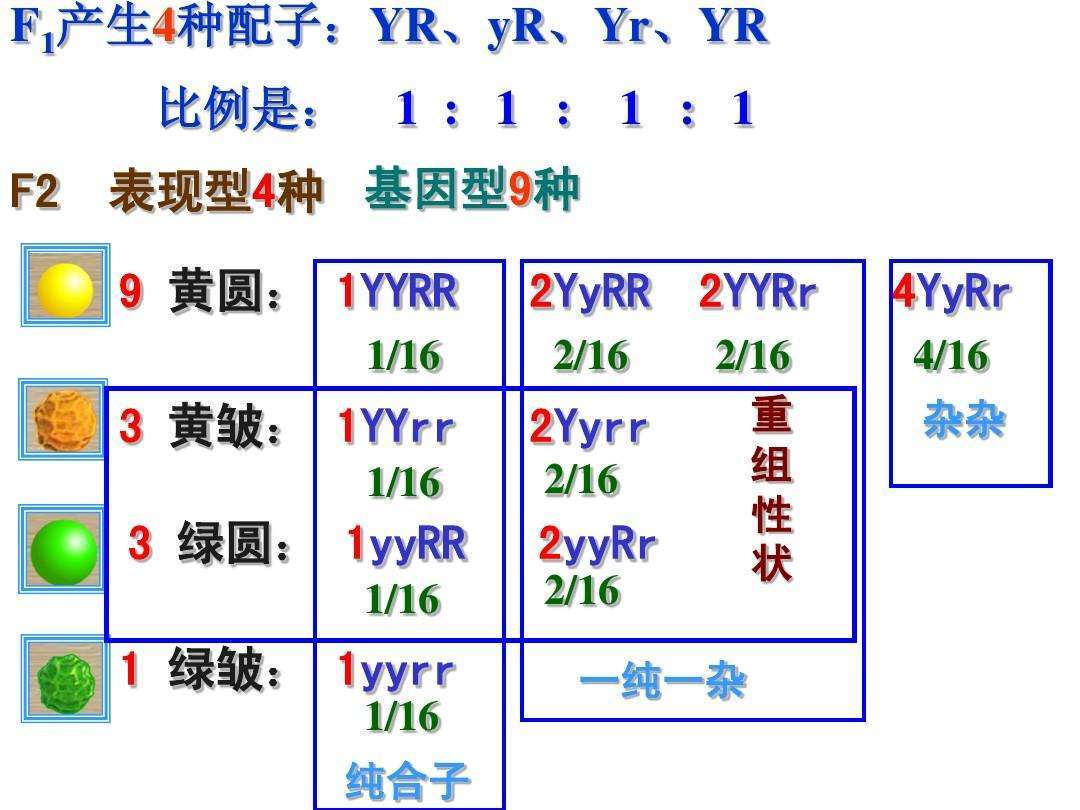 admin 第9页